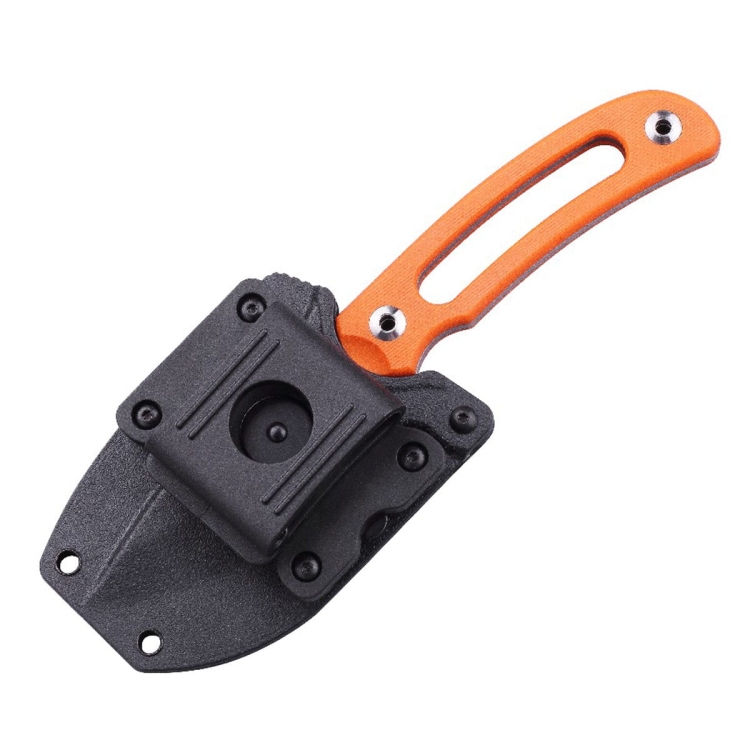 HornetOrange_3.jpg