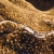 CB-1478901000_2.jpg