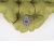 AMAS_C.jpg