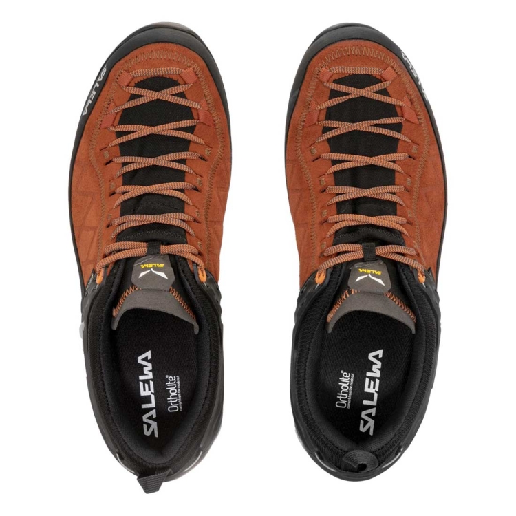 Męskie buty trekkingowe Salewa MS MTN Trainer 2 GTX - Autumnal/Black