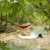 Hamak Ticket To The Moon Oryginal Hammock - Burgundy/Dark Yellow