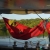 Hamak Ticket To The Moon Oryginal Pro Hammock - Burgundy