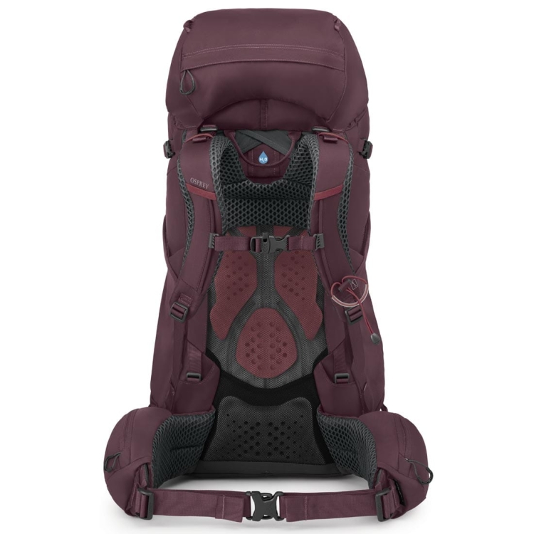 Damski plecak Osprey Kyte 58 WM/L - Elderberry Purple