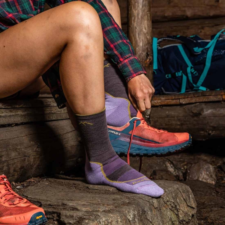 Damskie skarpety trekkingowe Darn Tough Women's Light Hiker Micro Crew Lightweight Hiking Sock - Taupe