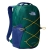 Plecak miejski The North Face Jester - Hunter Green/Eagle Blue