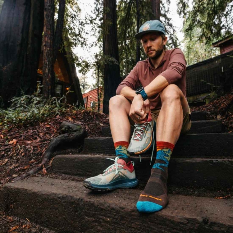 Męskie skarpety trekkingowe Darn Tough M'S Chasing Waterfalls Micro Crew Lightweight Hiking Sock – Earth