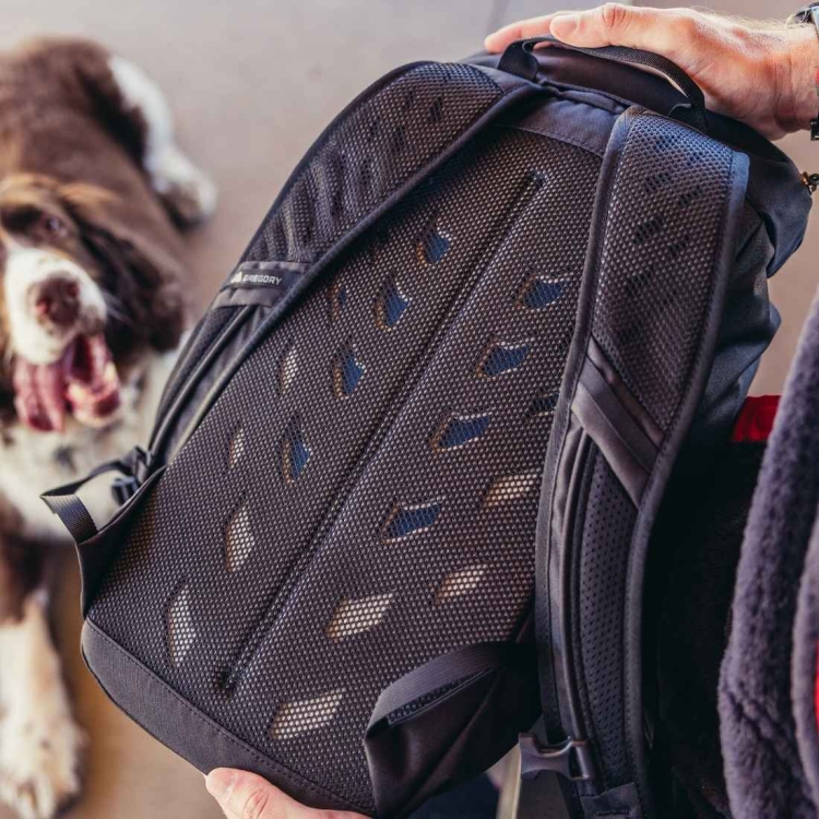 Uniwersalny plecak Gregory Nano 16 – Moab Tan