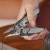 Multitool Leatherman Wave Plus - Stainless Steel