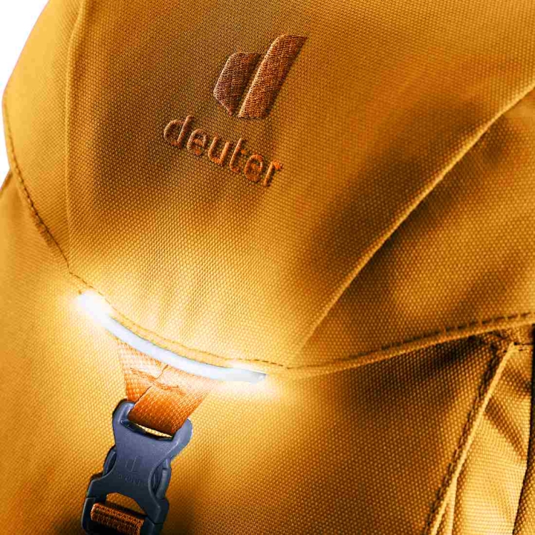 Plecak dla dzieci Deuter Waldfuchs 14 - Amber-Maple