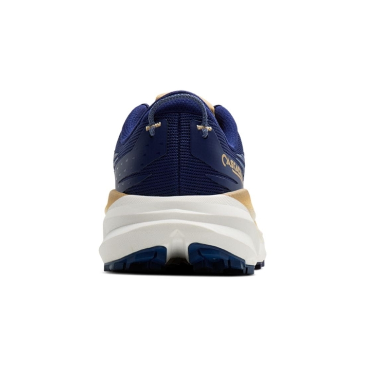 Męskie buty do biegania Brooks Cascadia 19 – Beacon Blue/Starfish/Coconut