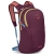 Lekki plecak miejski Osprey Daylite – Moody Burgundy
