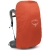 Dwukomorowy plecak damski Osprey Sirrus 36 – Medium Grey