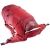 Plecak dwukomorowy Deuter Futura 32 - Cherry-Masala