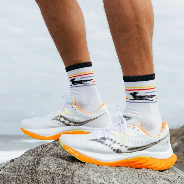 Skarpety Darn Tough Men's Frontrunner Micro Crew Ultra-Lightweight Running Socks – White