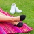 Darn Tough Women's Solid No Show Invisible Lightweight Lifestyle Socks – Black