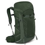 Męski plecak turystyczny Osprey Talon 33 – Green Canopy Pine Leaf