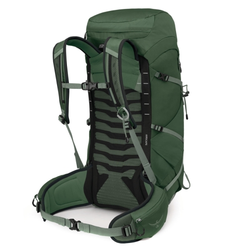 Męski plecak turystyczny Osprey Talon 33 – Green Canopy Pine Leaf