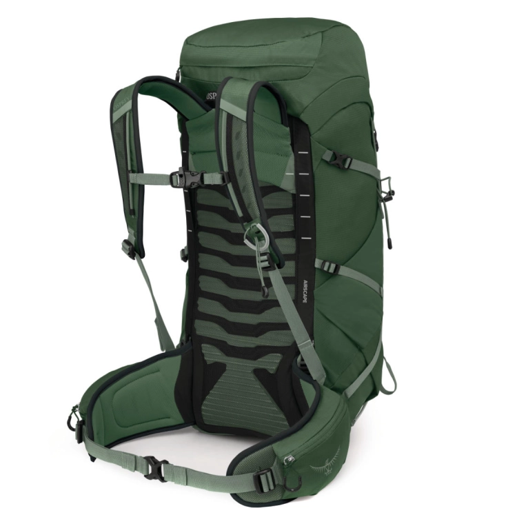 Męski plecak turystyczny Osprey Talon 33 – Green Canopy Pine Leaf