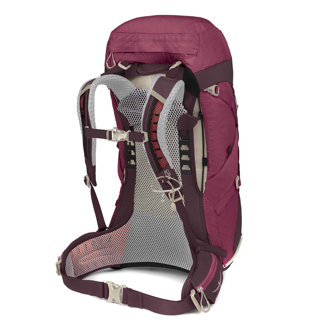 Plecak damski Osprey Sirrus 36 Elderberry Purple/Chiru Tan